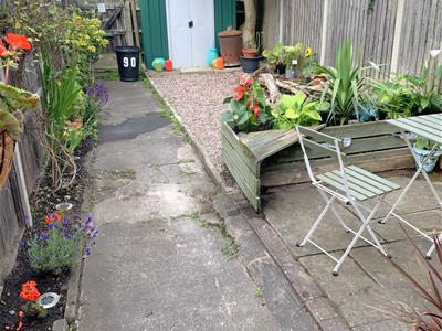 Picture 14